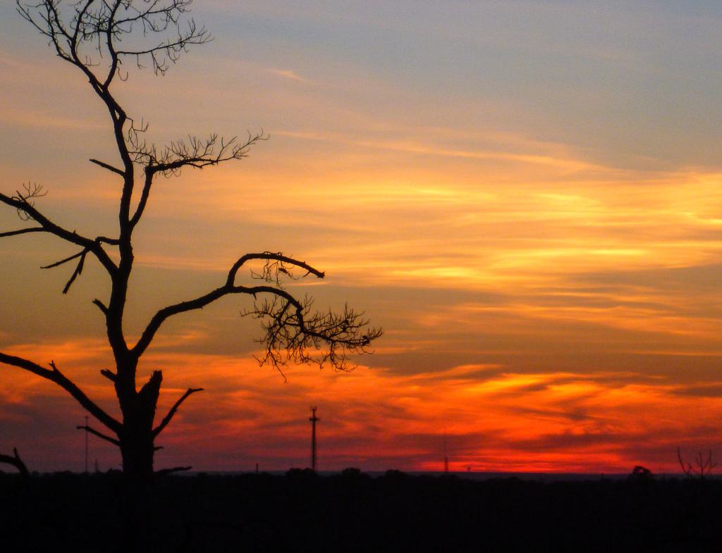 Sunset from the overlook at Bastrop State Park